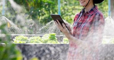 Cómo reducir el consumo de agua en la agricultura: Soluciones M2M