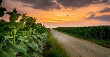 Presión atmosférica: cómo la miden los sensores IoT en agricultura y meteorología