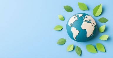 El papel del IoT en la sostenibilidad: aplicaciones inteligentes para un planeta más verde